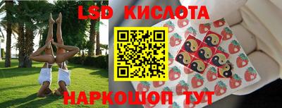 apvp Братск