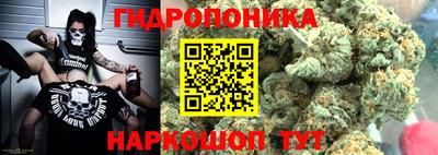 apvp Братск