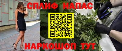 apvp Братск