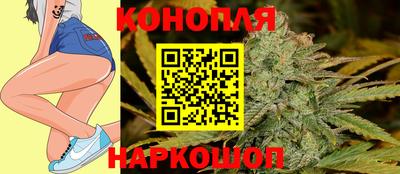 гидра Брянск