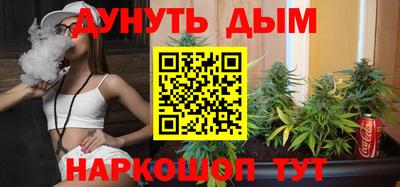 гидра Брянск